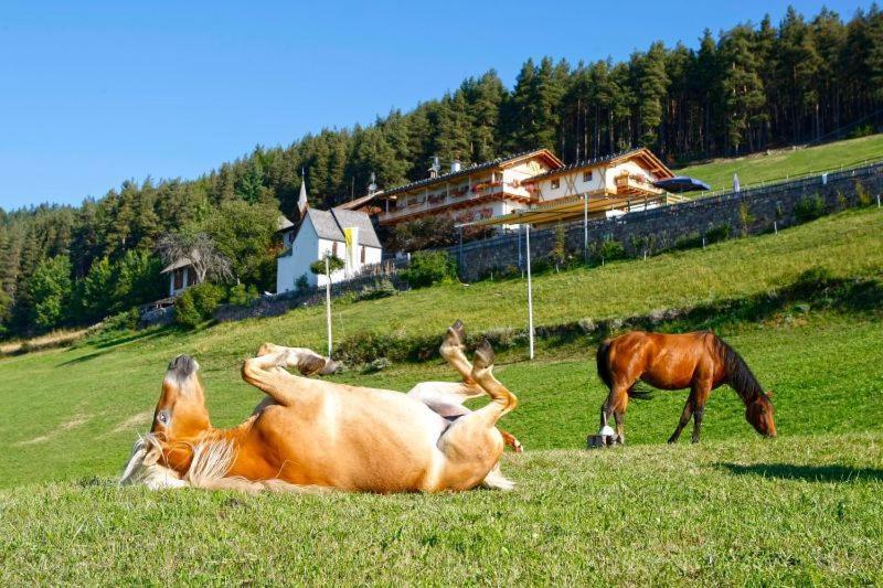 Gasthaus Bad Siess Longostagno Exterior foto